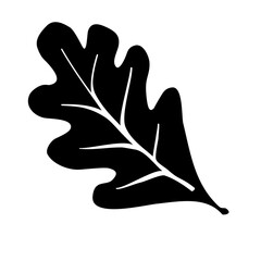 Oak Leaf vector illustration icon in black simple design silhouettes on white background. Black white logo vector.