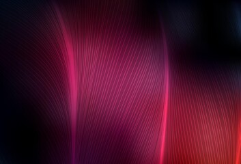 Dark Pink vector layout with curved lines.