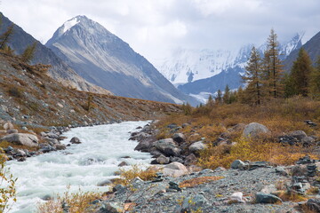 Mountain river. Dark Mountain next to the river. White mountain with a glacier on the horizon. Natural background. Soft focus. Selective focus of trees.