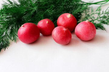 Radish and dill on a white background. Ingredients for the salad.