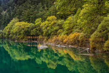 The beautiful turquoise water in ,lakes with forest in Jiuzhai Valley, in Sichuan, China, summer time.