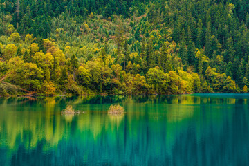 The beautiful turquoise water in ,lakes with forest in Jiuzhai Valley, in Sichuan, China, summer time.
