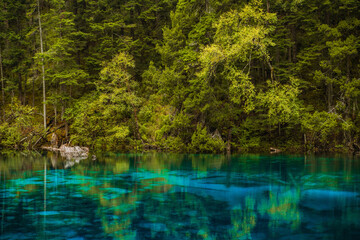 The beautiful turquoise water in ,lakes with forest in Jiuzhai Valley, in Sichuan, China, summer time.
