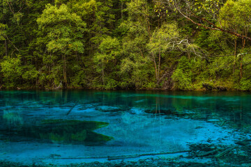 The beautiful turquoise water in ,lakes with forest in Jiuzhai Valley, in Sichuan, China, summer time.