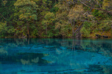 The beautiful turquoise water in ,lakes with forest in Jiuzhai Valley, in Sichuan, China, summer time.