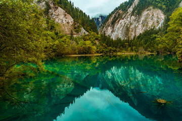 Fototapeta na wymiar The beautiful turquoise water in ,lakes with forest in Jiuzhai Valley, in Sichuan, China, summer time.