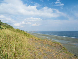 神奈川県大磯町　大磯こゆるぎの浜の風景