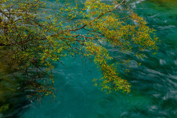 The turquoise streams and waterfalls in Jiuzhai Valley, Sichuan, China.