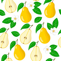 Vector cartoon seamless pattern with Pyrus or Pear exotic fruits, flowers and leafs on white background