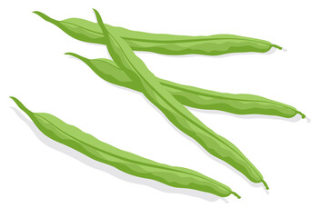 野菜_ インゲン豆・さんどまめ