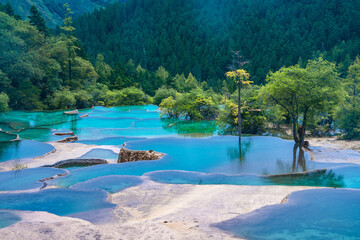 The turquoise color hot spring pools in Huanglong Valley, Sichuan, China, on summer time.