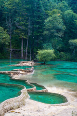 The turquoise color hot spring pools in Huanglong Valley, Sichuan, China, on summer time.