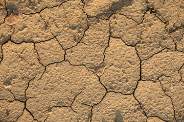 background of cracked dry ground