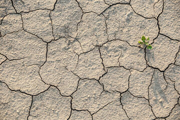 background of cracked dry ground
