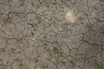 background of cracked dry ground