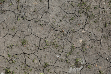 background of cracked dry ground