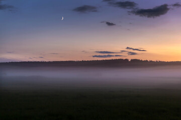 Sunset over the misty meadow