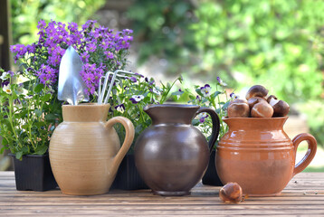 gardening tools in a water jug placed with others on a table with flowers and bulbs in a garden