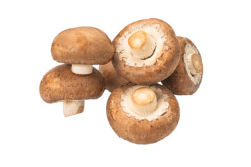 Tasty mushroom isolated on white background.
