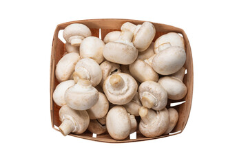 Champignon mushroom isolated on white background.