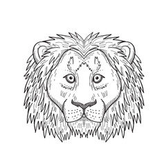 Head of a Coward and Scared Lion Front View Black and White Drawing