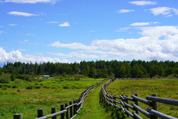 Fototapeta na wymiar Wooden fence of Takabotchi ranch in fine weather