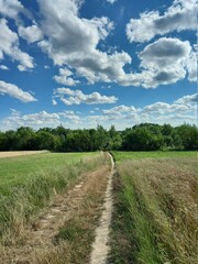 road in the countryside