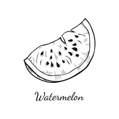 Cute hand drawn vector watermelon sketch. Page for coloring fruit. 