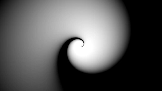 Nautilus Logarithmic Spiral Loop Mask