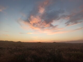 sunset over the field