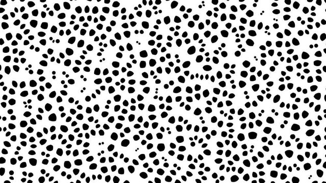 Leopard Spots Panning Subtle Changing