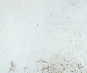 Tumbled travertine stone tile background with dried grasses. Texture of light grunge stone with dried wild herbs and flowers, copy space.