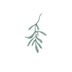 green christmas mistletoe branch, xmas white misletoe, winter home decor element