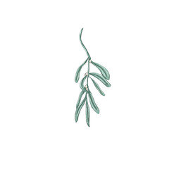 cute christmas mistletoe branch, winter home decor element