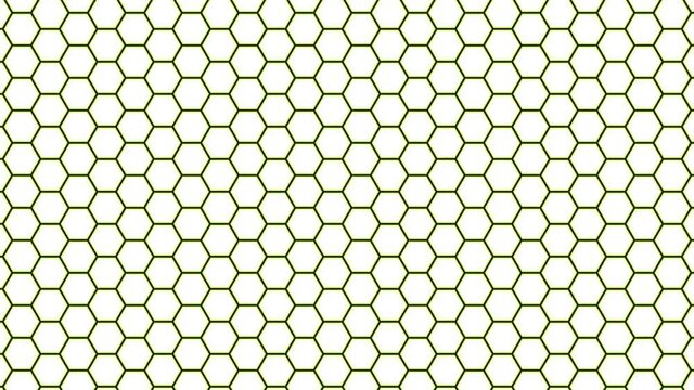 Simple Clean Hexagon Grid Mask Hive Net