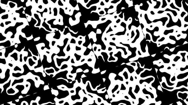 Zebra Tiger Stripe Monochrome Cow Skin Pattern Gring