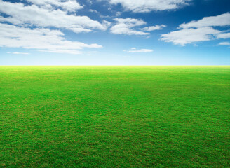 Obraz premium Natural green grass field and blue sky