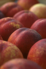 Nectarines | Nectarine
