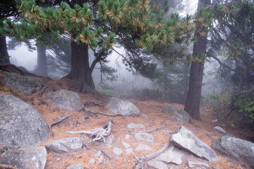 Autumn landscape and foggy mountains in High Tatras