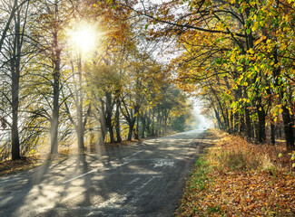 Beautiful autumn landscape with the road and the sun's rays of the setting sun.