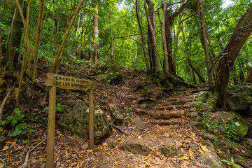 Start of the trail in the natural park of Los Tinos on the northeast coast on the island of La Palma, Canary Islands. Spain © unai