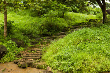 Obraz premium National Park