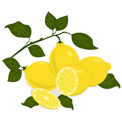Three whole and one cut lemon on a white background.