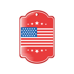 usa flag in frame detailed style icon vector design