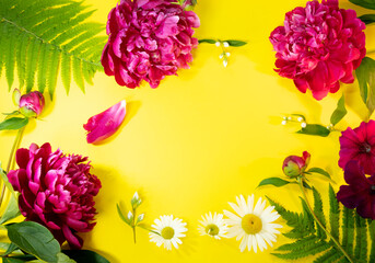 
Composition of flowers on a yellow background