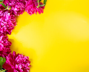 
Composition of flowers on a yellow background