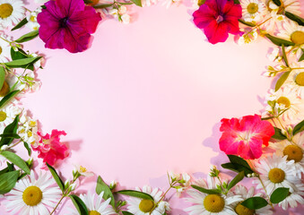 Composition of flowers on a pink background