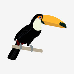 Fototapeta premium Tropical bird toucan on white isolated background.