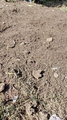 footprint in the sand