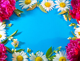 
Composition of flowers on a blue background